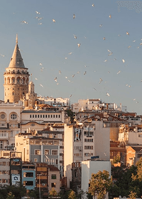 Turkey